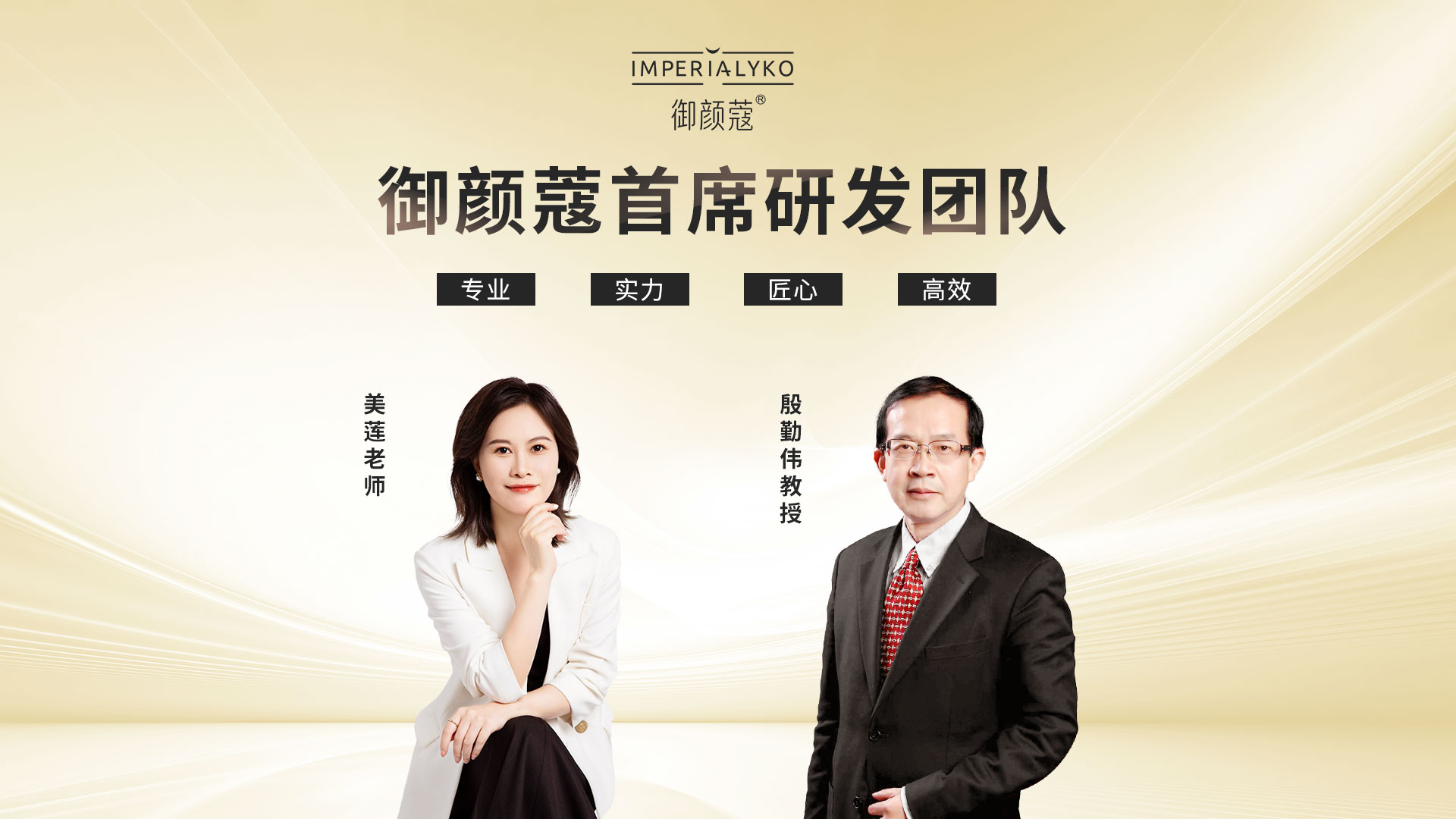 专家团队